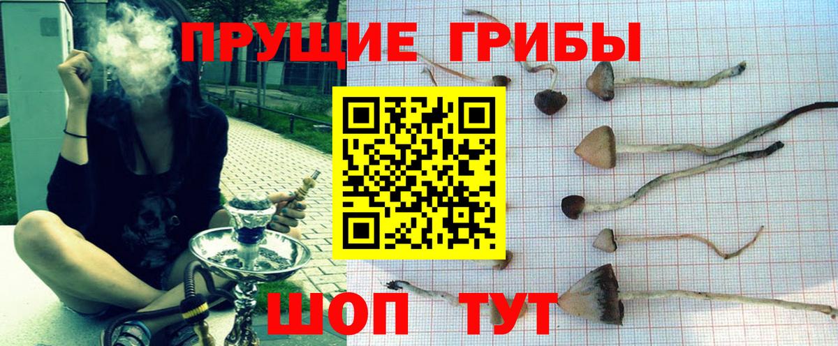 Галлюциногенные грибы Magic Shrooms  магазин    Сарапул  Вход с VPN 